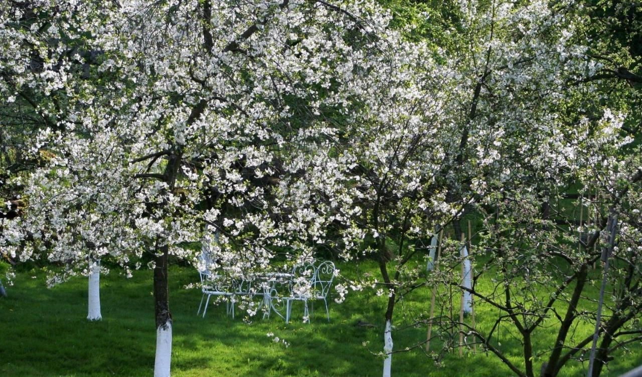 Lavendowo Otel Piechowice  Dış mekan fotoğraf